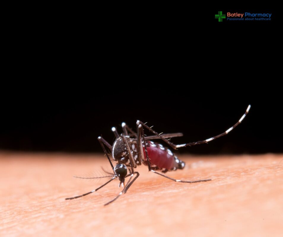 Malaria Prevention: Which Antimalarial Tablets Are Right for My Trip?