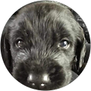 tina forbes profile picture
